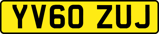 YV60ZUJ