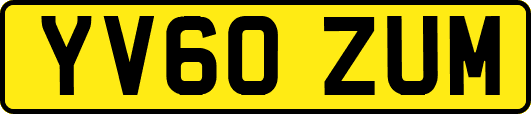 YV60ZUM