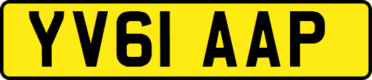 YV61AAP
