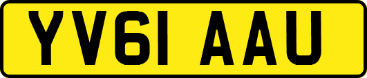 YV61AAU