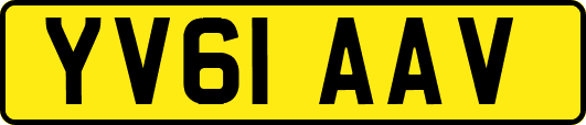 YV61AAV