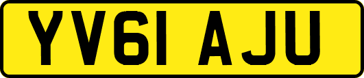 YV61AJU
