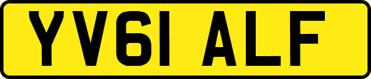 YV61ALF