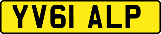 YV61ALP