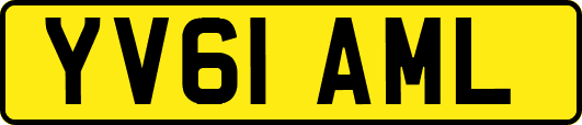 YV61AML