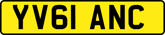 YV61ANC