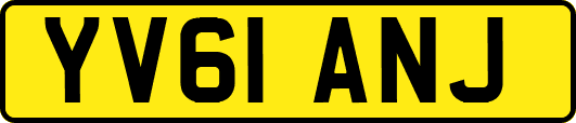 YV61ANJ
