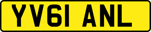 YV61ANL