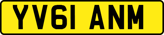 YV61ANM