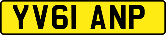 YV61ANP
