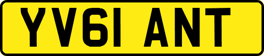 YV61ANT