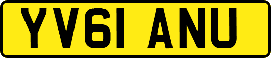 YV61ANU