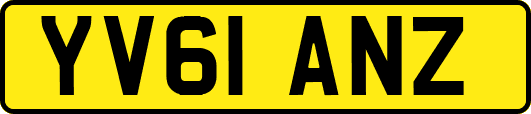 YV61ANZ