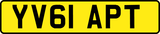 YV61APT