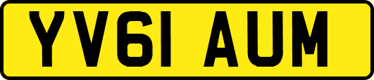 YV61AUM