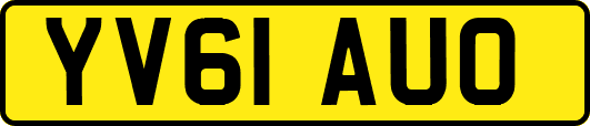 YV61AUO
