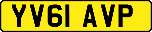YV61AVP