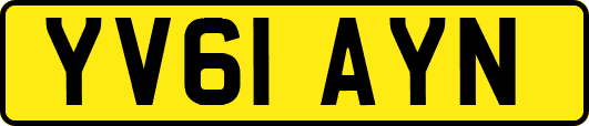 YV61AYN