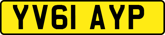 YV61AYP