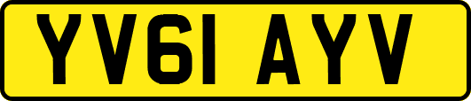 YV61AYV