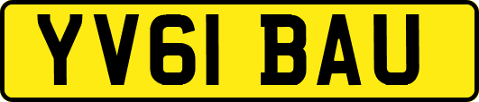 YV61BAU