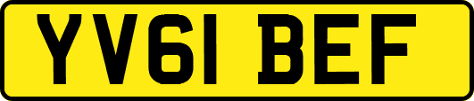 YV61BEF