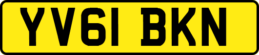 YV61BKN