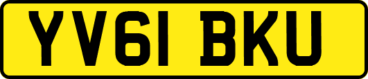 YV61BKU