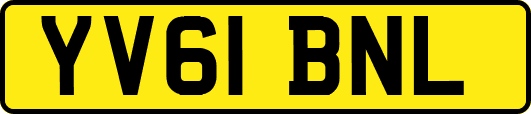 YV61BNL