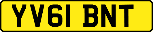 YV61BNT