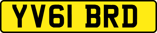 YV61BRD