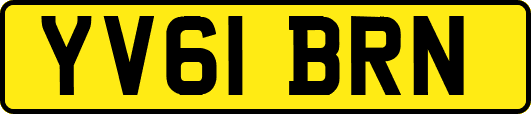 YV61BRN