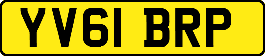 YV61BRP