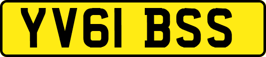 YV61BSS