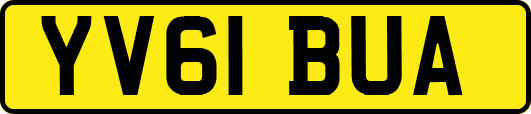 YV61BUA