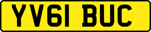 YV61BUC