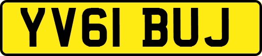 YV61BUJ