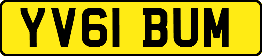 YV61BUM