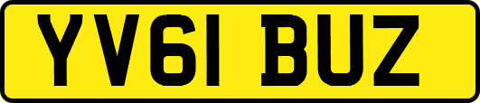 YV61BUZ