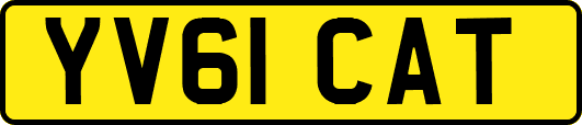 YV61CAT