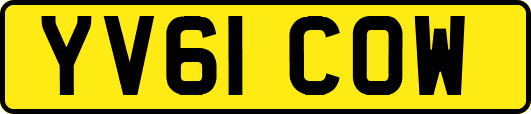 YV61COW