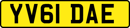 YV61DAE
