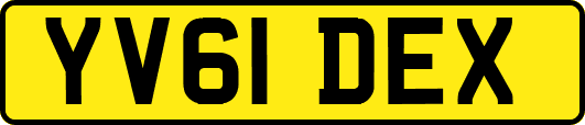 YV61DEX
