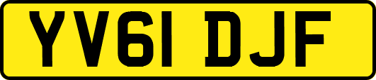 YV61DJF