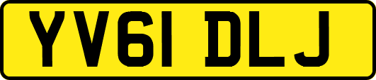 YV61DLJ