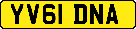 YV61DNA