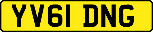 YV61DNG