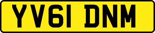 YV61DNM
