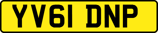 YV61DNP