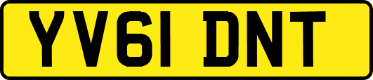 YV61DNT